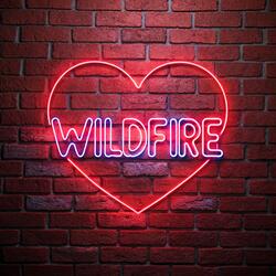 Wildfire