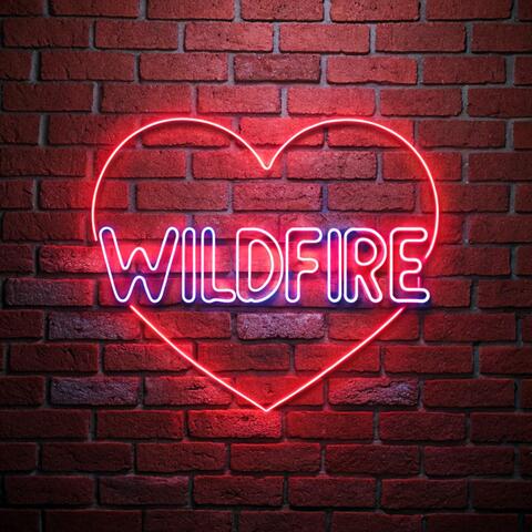 Wildfire