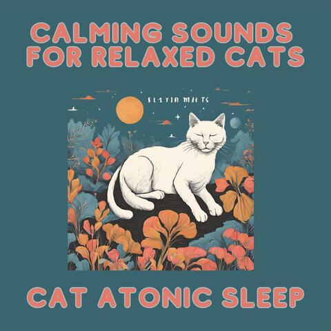 Calming Sounds for Relaxed Cats