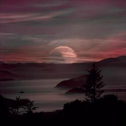 Shido's Sunset (Live) [feat. Cedric (Paul) Thomas II & Freddy "Fuego" Gonzalez]