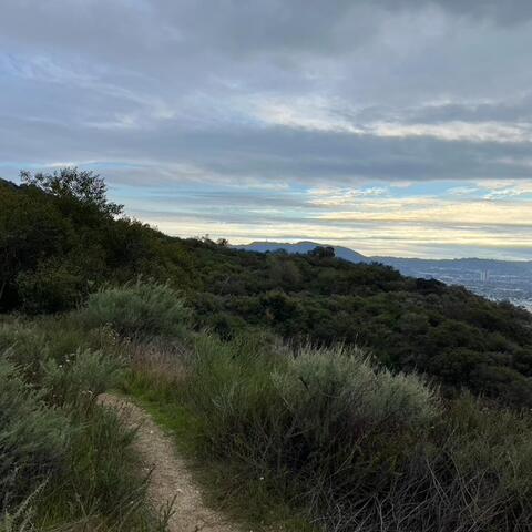 Riparian Skies