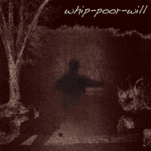 Whip-poor-will