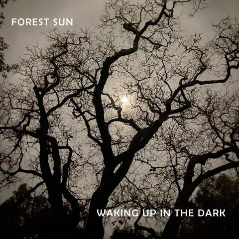 Waking up in the Dark