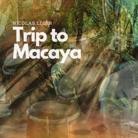 Trip to Macaya