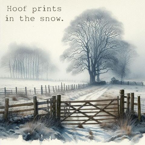 Hoof Prints in the Snow