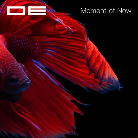 Moment of Now (Suchness 5)