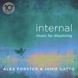 Internal (feat. Nilesh Shinde)