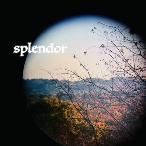Splendor