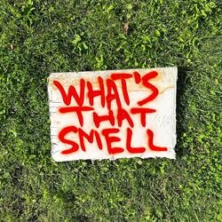 What's That Smell