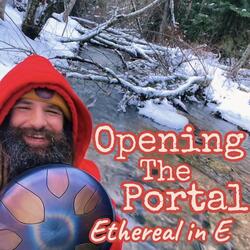 Opening the Portal