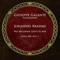 Johannes Brahms: 5 Lieder, Op.105: I. Wie Melodien zieht es mir (Arr. for Flugelhorn and Piano)