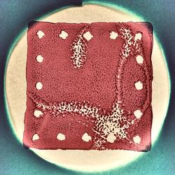 Dust Breeding (feat. Don Aliquo & Sam Bryson)