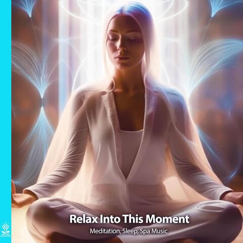 Relax into This Moment Meditation, Sleep, Spa Music (feat. Stephen Hull)