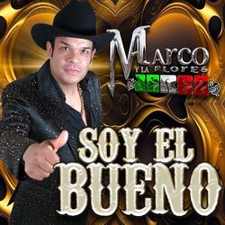 Soy un Desmadre