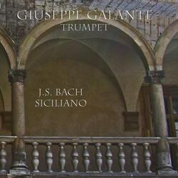 J.S. Bach: Sonata in E-Flat Major, BWV 1031: II. Siciliano (Arr. for Trumpet, Organ and Harpsichord)