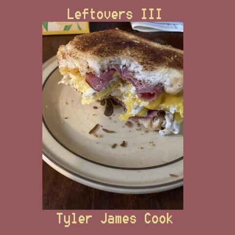 Leftovers III