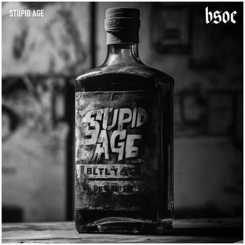 Stupid Age