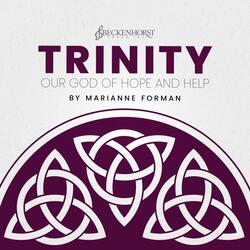 TRINITY: II. Look at the Birds