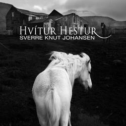 Hvítur Hestur (feat. Hildegunn Johansen & Eivind Aarset)