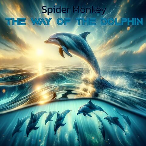 The Way of the Dolphin