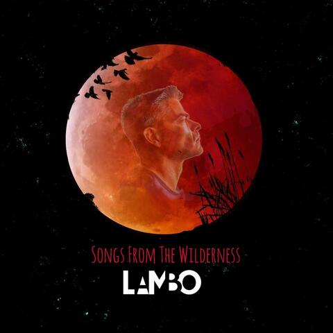 Songs From The Wilderness