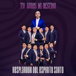 Tu Guias Mi Destino