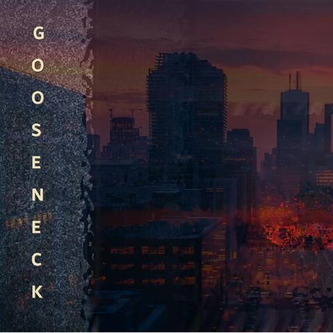 Gooseneck