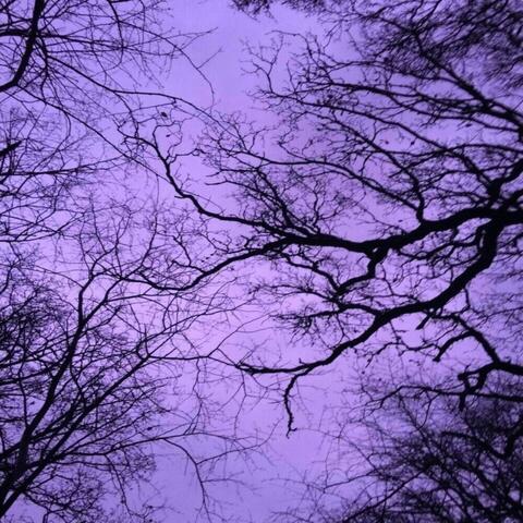 ARTISTIC IMPROVISATION IN VIOLET TONES