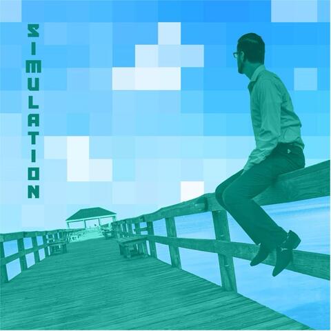 Simulation