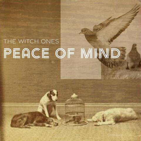 Peace of Mind