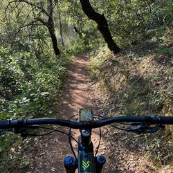 Ride