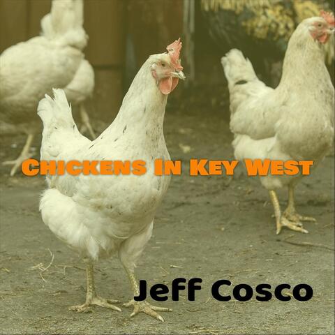 Chickens In Key West