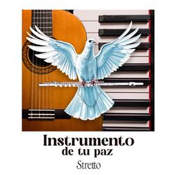 Hazme un Instrumento de Tu Paz (Instrumental)