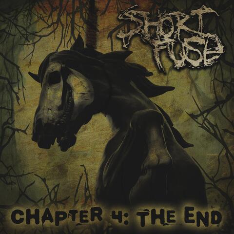 Chapter 4: The End