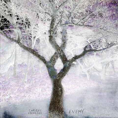 Enemy