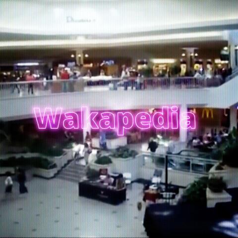 Escalator to Nowhere
