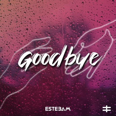 Goodbye
