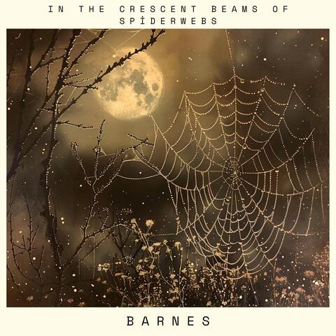 In the Crescent Beams of Spider Webs