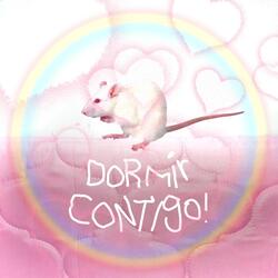 Dormir Contigo