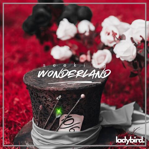 Seeking Wonderland