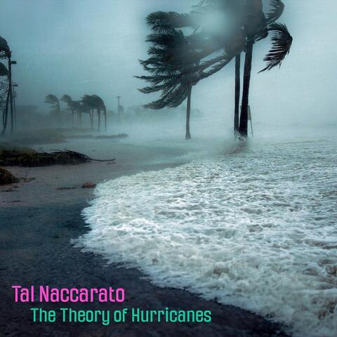 The Theory of Hurricanes