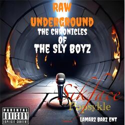 The Sly Intro (feat. Popsykle & Netnet)