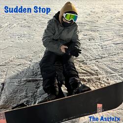 Sudden Stop