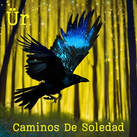 Caminos De Soledad