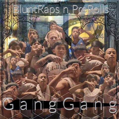 Vol. 44 Gang Gang