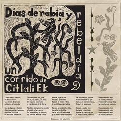Corrido Días de rabia y rebeldía