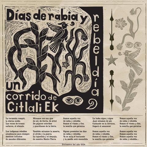 Corrido Días de rabia y rebeldía