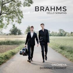 Cello Sonata No. 1 in E Minor, Op. 38: I. Allegro non troppo