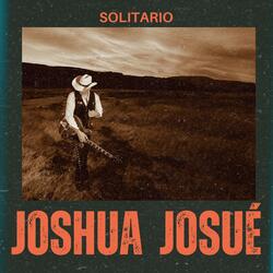 Solitario