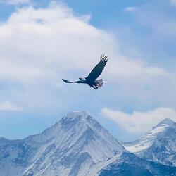 Time with Abba (Instrumental - Piano)